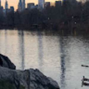 Meet your Posher, Bella